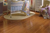 Photo Gallery 15